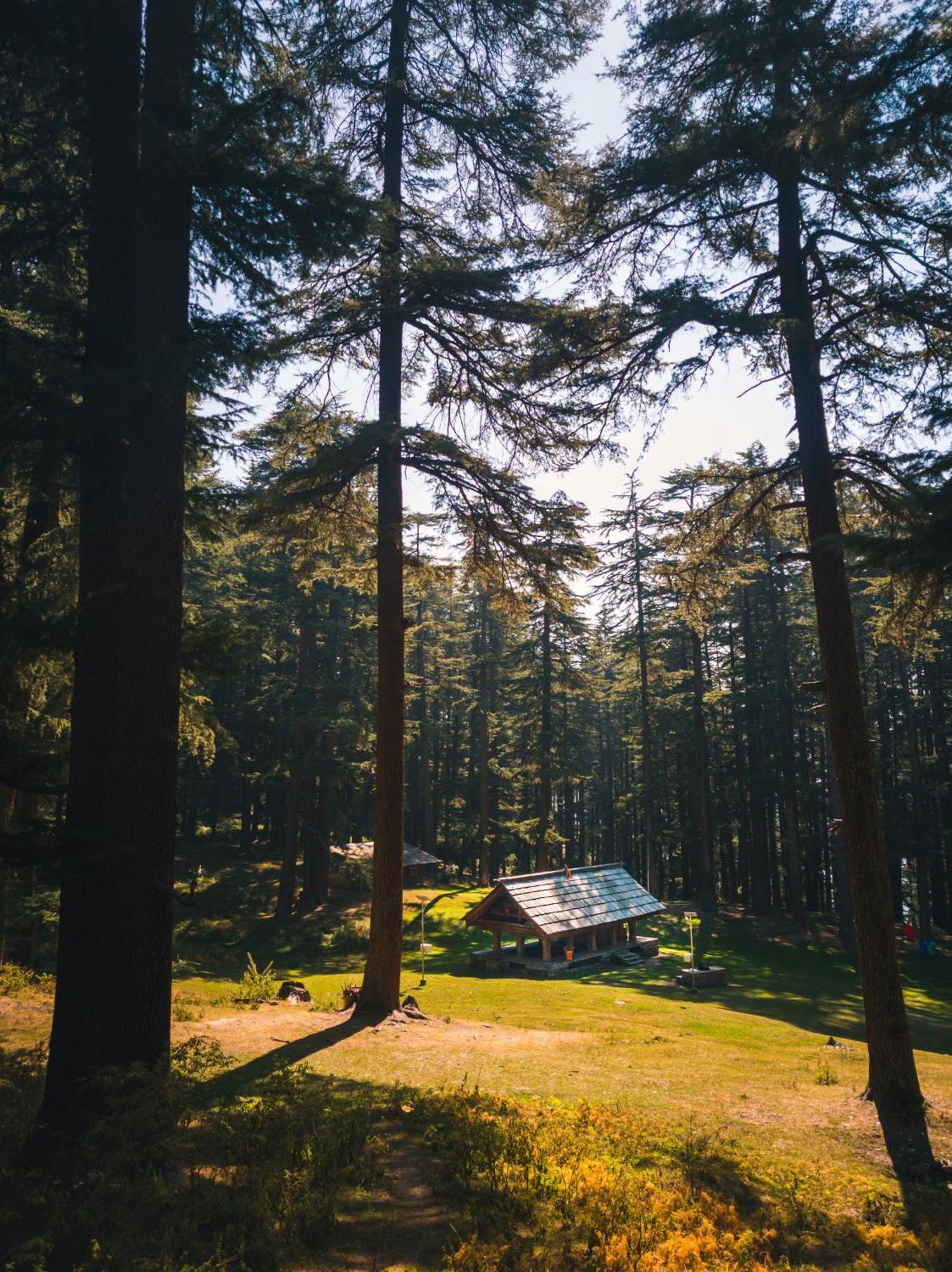 Hostel 360 Degree, Jibhi Buitenkant foto